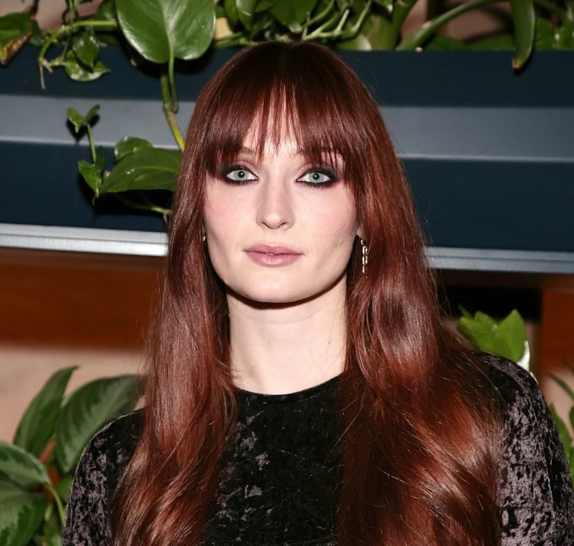 Long Layers Visual Idea Long Layers Visual Idea — Winter Auburn Hair Color