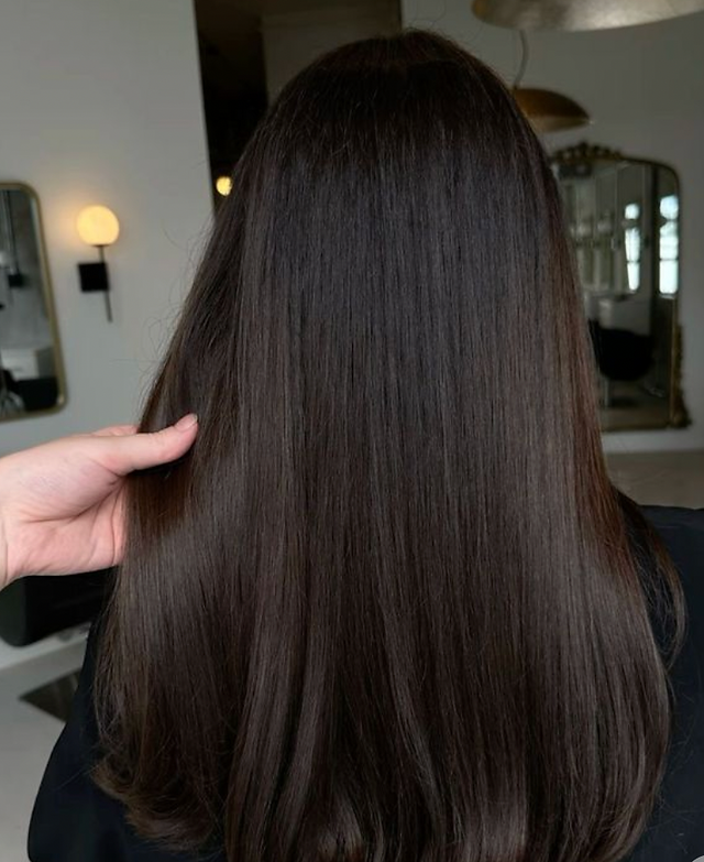 Cool-Toned Brown Blunt Cut Cool-Toned Brown Blunt Cut — Dark Winter Hair Colors