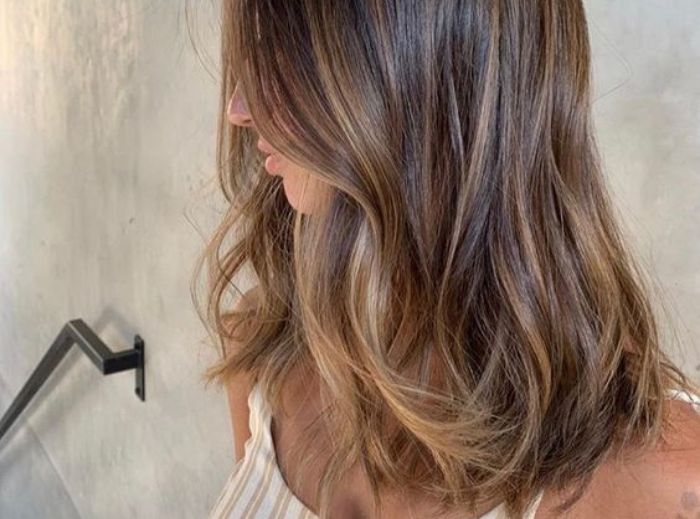 Subtle Blonde on Dark Brown Side View — Winter Highlights