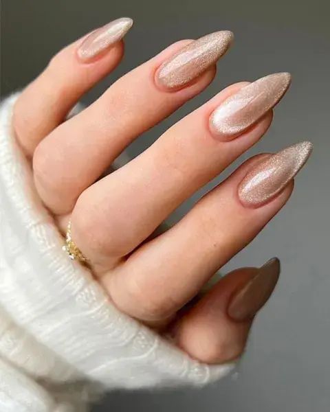 Long Almond Champagne Nude Cat-Eye — Winter Champagne Nails