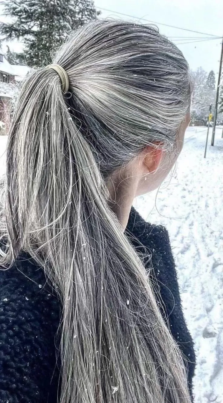 Wet Grey High Ponytail with Silver Highlights — Winter Protective Hairstyles