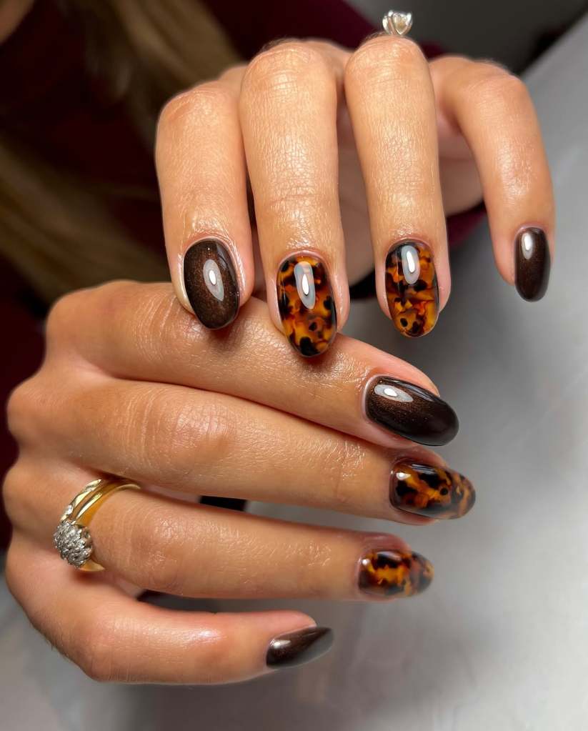 Tortoiseshell Pattern Visual Idea Tortoiseshell Pattern Visual Idea — Aesthetic Winter Nails