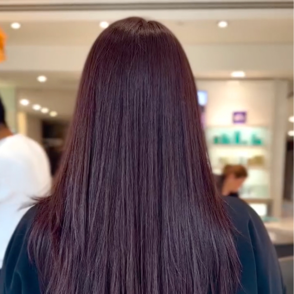 Dark Plum Brown Straight Hair Dark Plum Brown Straight Hair — Dark Winter Hair Colors