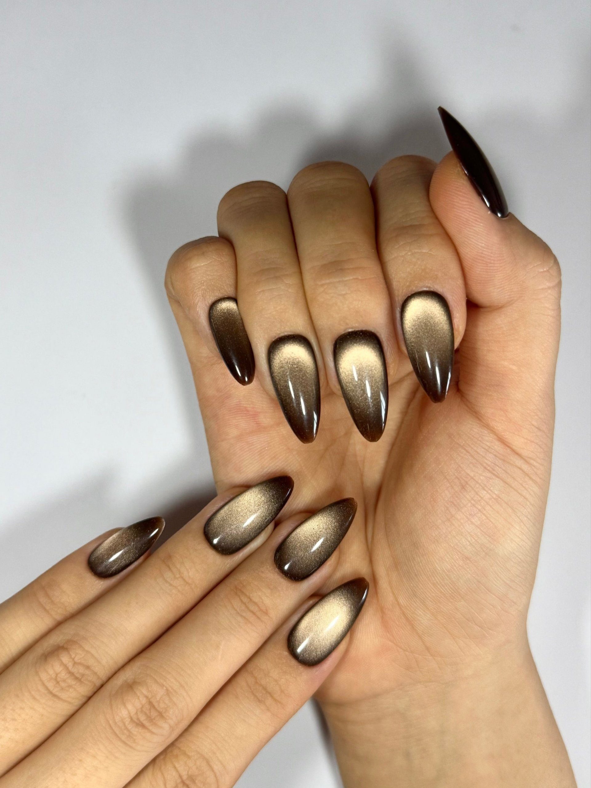 Shimmering Cat-Eye Visual Idea Shimmering Cat-Eye Visual Idea — Chocolate Brown Nails